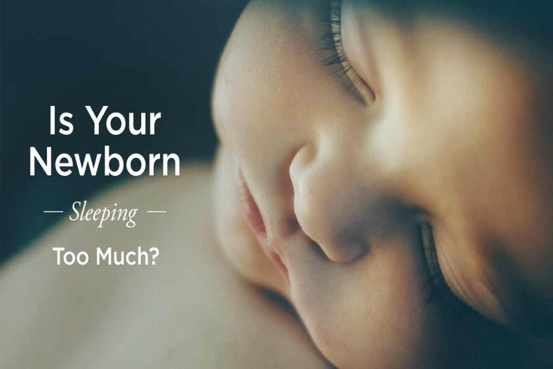 Newborn Sleep