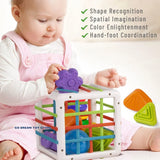 Vibrant Shape Sorting Game: Montessori-Inspired Educational Toy for Babies, Fostering Learning and Development from Birth to 12 Months