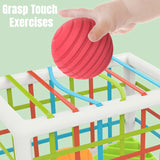 Vibrant Shape Sorting Game: Montessori-Inspired Educational Toy for Babies, Fostering Learning and Development from Birth to 12 Months