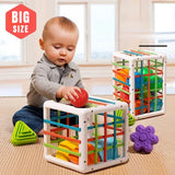 Vibrant Shape Sorting Game: Montessori-Inspired Educational Toy for Babies, Fostering Learning and Development from Birth to 12 Months